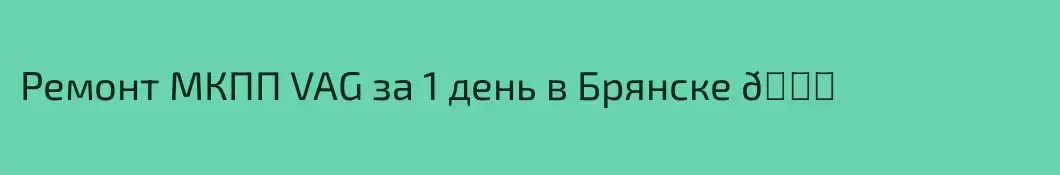Ремонт МКПП VAG за 1 день в Брянске 👈